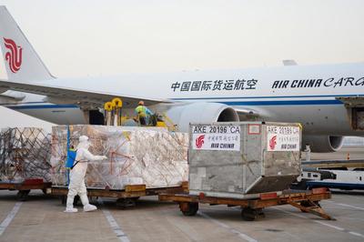 浦東機場一日破300架次 冷鏈貨運高峰背后的進出口代理新挑戰(zhàn)