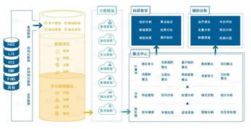 雅森科技陳暉 十年求索，探路醫(yī)療AI的上海實(shí)踐與需求邊界
